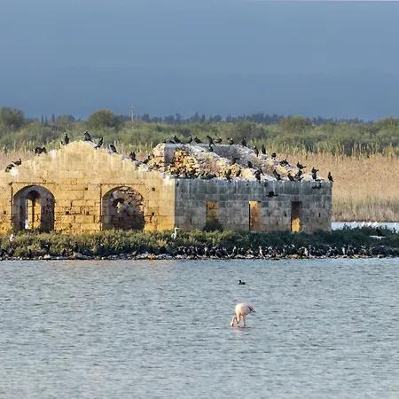 Il Moro Bed & Breakfast